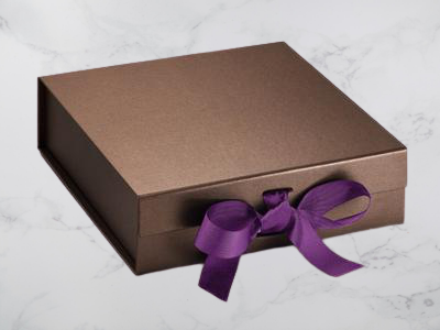 Ultra Violet 80cm Grosgrain Ribbon