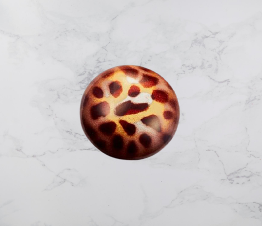 Leopard Print Smooth Dome Gift Box Closure