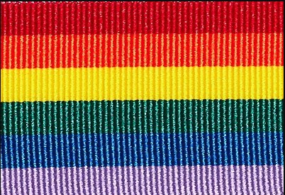 Rainbow Solid Stripe 80cm Grosgrain Ribbon